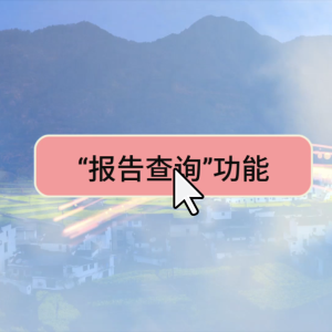 报告查询