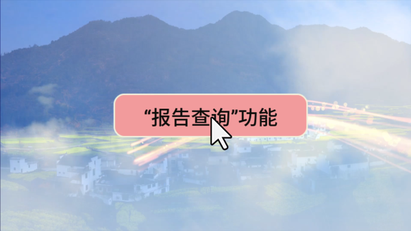 报告查询